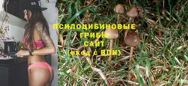 кокс Алексеевка